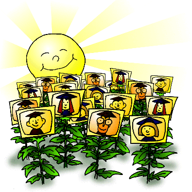 Cover illustration of cartoon sunflowers as students