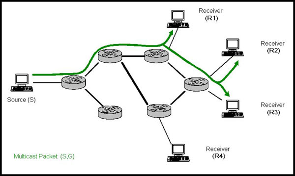 diagram (28KB): Figure 5: Copies of packets only made when necessary over multicast