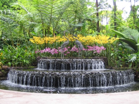 photo (85KB) : Figure 3 : Orchid Garden in the Singapore Botanic Gardens